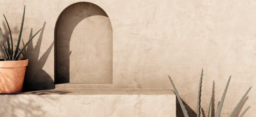 Empty,Texture,Stucco,Wall,With,Shade,And,Aloe,Clay,Pot.