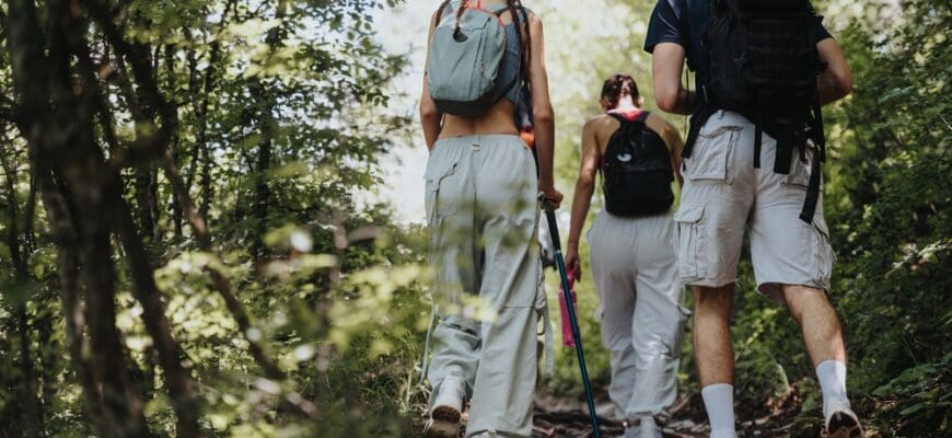 Group,Of,Friends,Enjoying,A,Hike,Through,A,Forested,Mountain